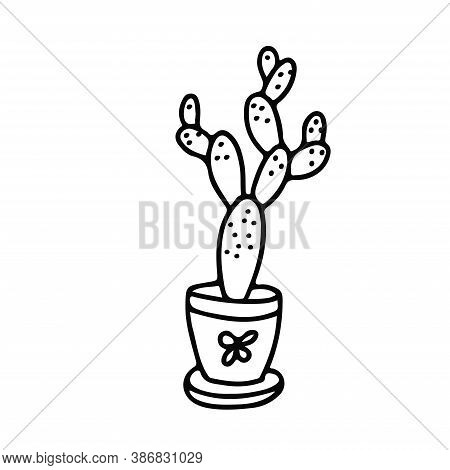 House Plant In A Pot Decorated With Ornaments. Cactus In Doodle Style. Hand Drawn Vector Illustratio