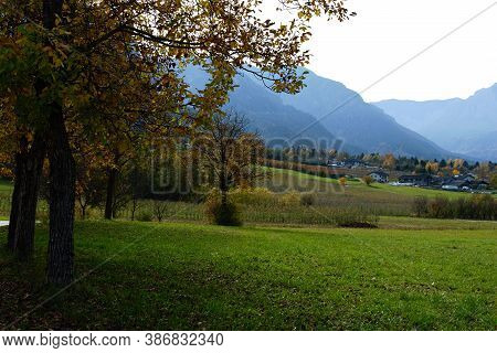 Autumnal Scenary In Levico, Trentino With Trees And Mountains. Fall Scene. No People