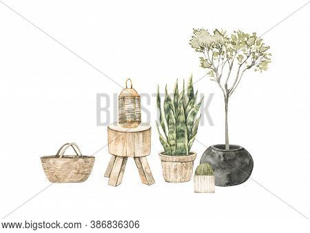 Watercolor Illustration Of Modern Interior With Home Plants On Pots, Wooden Table And Basket. Tropic