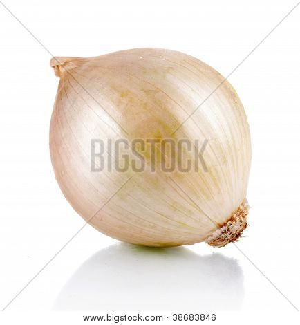 Cebula