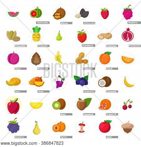 Fruit Flat Icon Set, With Watermelon, Melon, Apple, Peach, Grapes, Coconut, Orange, Kiwi, Mango