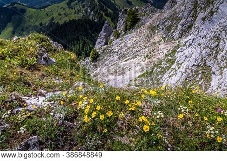 Hiking From The Mountain Station To The Top Of The Mountain Called Wendelstein In Bavaria, Germany A