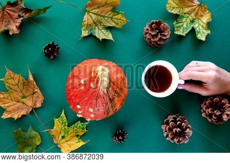Autumn Composition. Frame Made Of Pumpkins, Dried Leaves, Pine Cones And Tes Cup Background. Templat