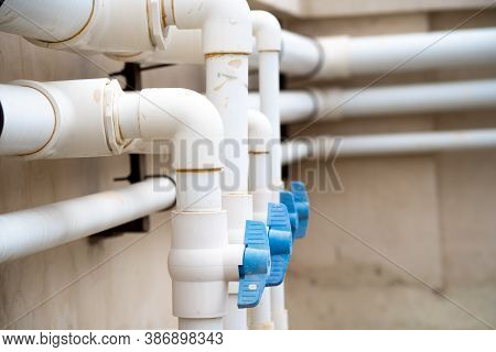 White Pvc Pipes With Cool Blue Taps, Valves And Cocks That Stand Out Shot In A Home Office Maintenan