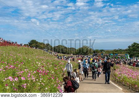 Ibaraki Prefecture, Japan - Oct 20, 2019 : Crowded People Going To The Miharashi Hill To See The Red