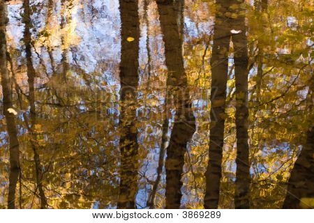 Herfst reflectie