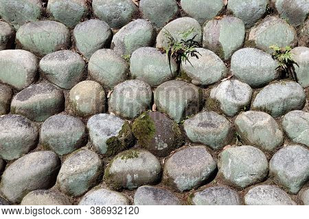 Texture Of Round Stone Stacked To Wall With Fern Plant And Green Thallophytic Plant. Pattern Of Wall