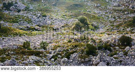 Green Rocky Karst Mountain Plateau In Sunbeams