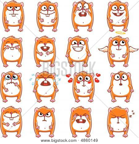 แฮมสเตอร์