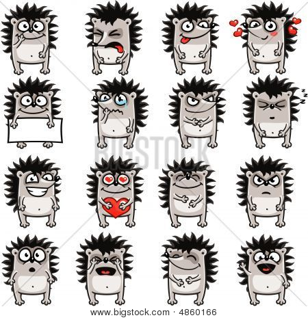 Hedgehogs