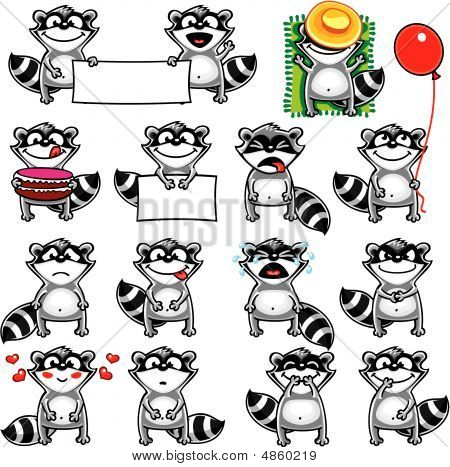 Racoons