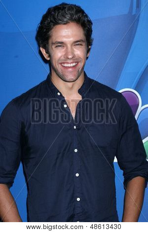 ลอสแองเจลิส - 27 jul: Neal Bledsoe ในทัวร์ฤดูร้อนกด TCA ปลอด 2013 ที่บริการ Beverly Hilton