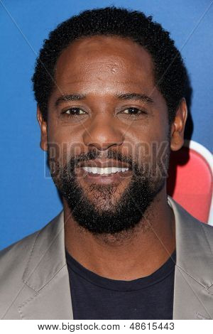 LOS ANGELES - júl 27: Blair Underwood az NBC TCA nyári Press Tour 2013 a Beverly Hilton H