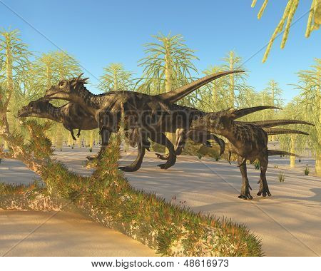 Dracorex