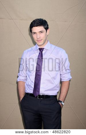 LOS ANGELES - JUL 29: Michael Rady kommt beim 2013 CBS TCA Sommerfest am Standort private