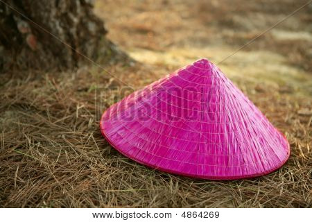 Chinesse Pink pige Hat Over skovbunden