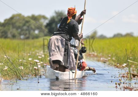 Kano Ben Okavango Deltası