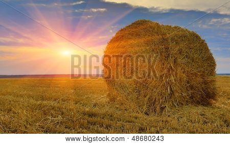 foin-rouleau sur Prairie sur fond de coucher de soleil 