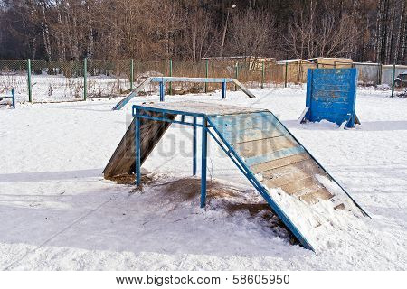 Doggy Area