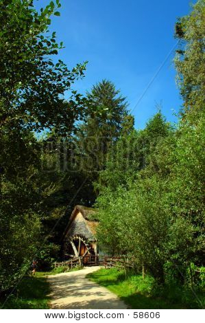 Övergivna vattenkvarn.