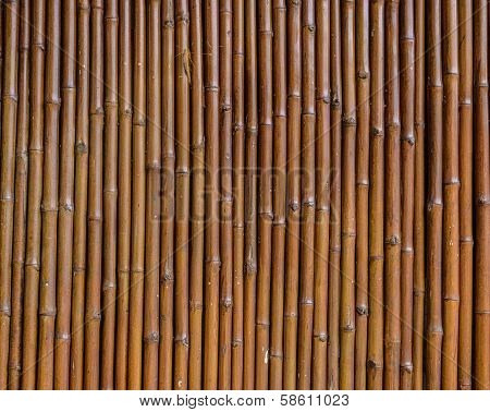 Bamboo wall background