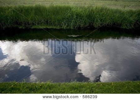 Reflexe