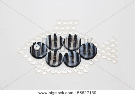 Small Fish From Buttons