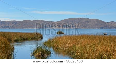 Lake Titicaca Reed Landscape