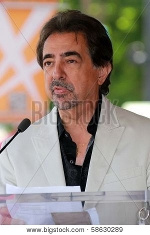 Joe Mantegna at the Peter Falk Star on the Hollywood Walk of Fame Ceremony, Hollywood, CA 07-25-13