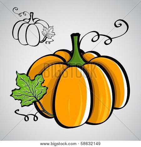 Sketch Style Vegetables - Pumpkin