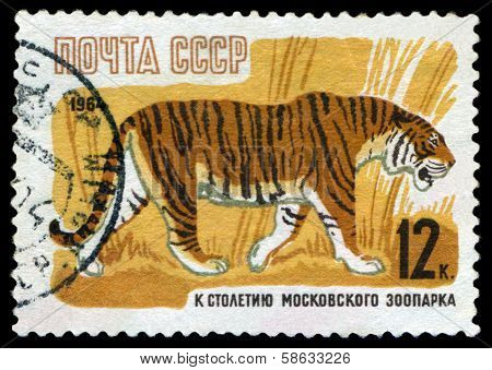 Vintage  Postage Stamp. Tiger.