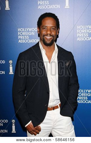 Blair Underwood at the Hollywood Foreign Press Association's 2013 Installation Luncheon, Beverly Hilton, Beverly Hills, CA 08-13-13