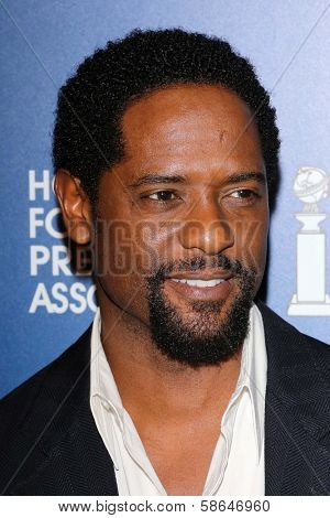 Blair Underwood at the Hollywood Foreign Press Association's 2013 Installation Luncheon, Beverly Hilton, Beverly Hills, CA 08-13-13