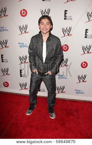 Ryan Ochoa at Superstars for Hope honoring Make-A-Wish, Beverly Hills Hotel, Beverly Hills, CA 08-15-13