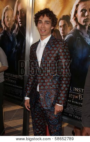 Robert Sheehan at the 
