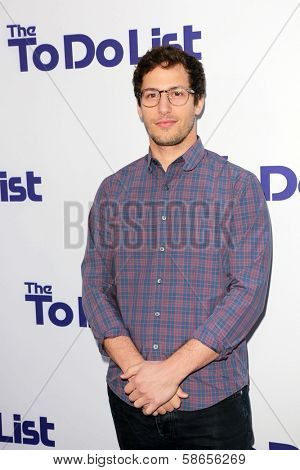 Andy Samberg at 