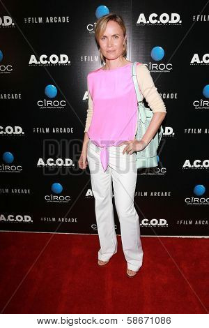 Radha Mitchell at the 