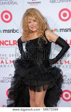 Charo at the 2013 NCLR ALMA Awards Arrivals, Pasadena Civic Auditorium, Pasadena, CA 09-27-13