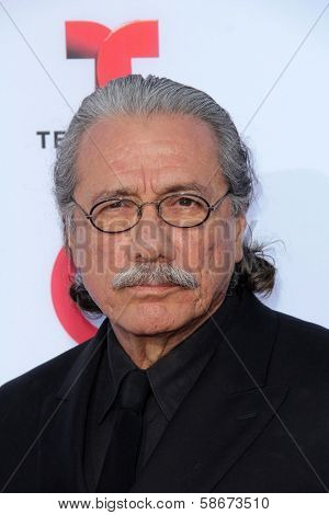 Edward James Olmos at the 2013 NCLR ALMA Awards Arrivals, Pasadena Civic Auditorium, Pasadena, CA 09-27-13