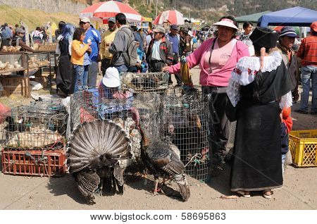 Ecuador, Ethnic Market