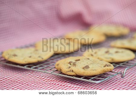 Beautiful Fresh Hand Made Chocolate Chip Cookies