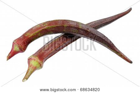 Purple Okra