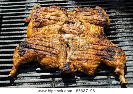 Chicken Under A Brick With Panzanella Salad