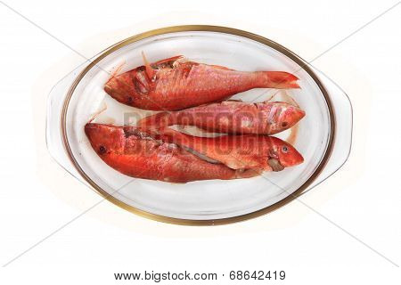 Raw Redfishes Isolated