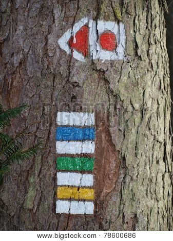 Tourist Signposting On The Bark Of A Tree