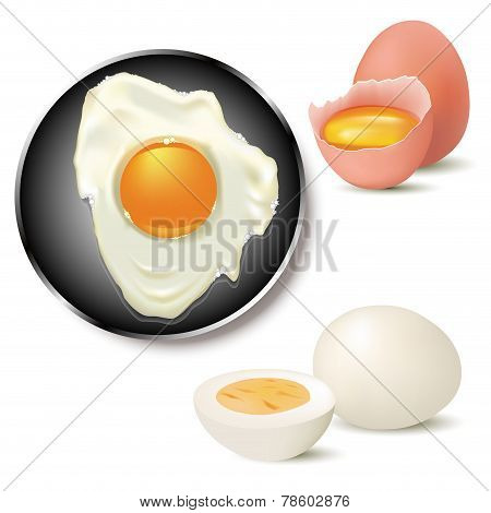 Egg