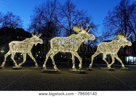 Christmas Moose Herd Made Of Led Light
