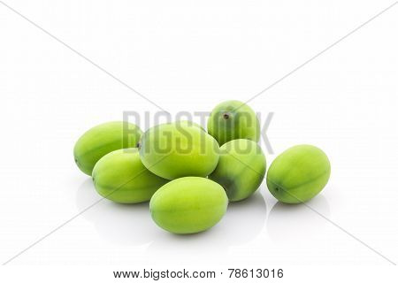 Calyx, Lotus Seeds Green .