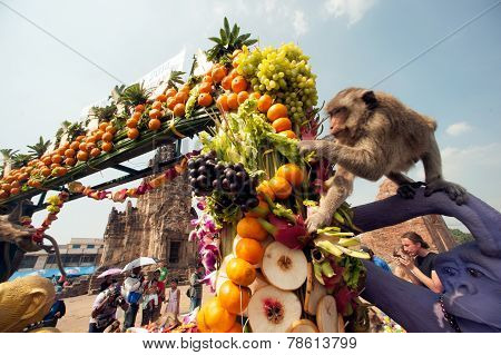 Thailand Monkey party (Thailand Monkey Buffet ).