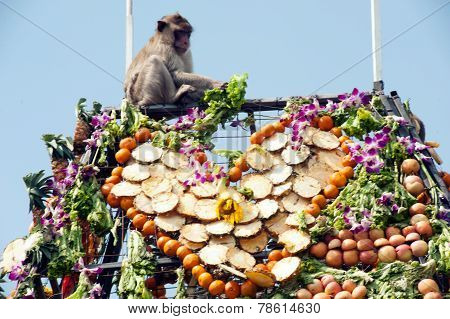 Thailand Monkey party (Thailand Monkey Buffet ).